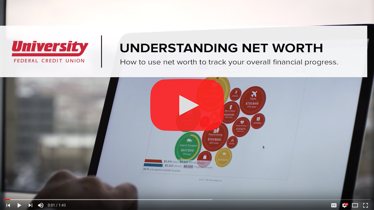 Video Tutorial on Understanding Net Worth U Money Manager